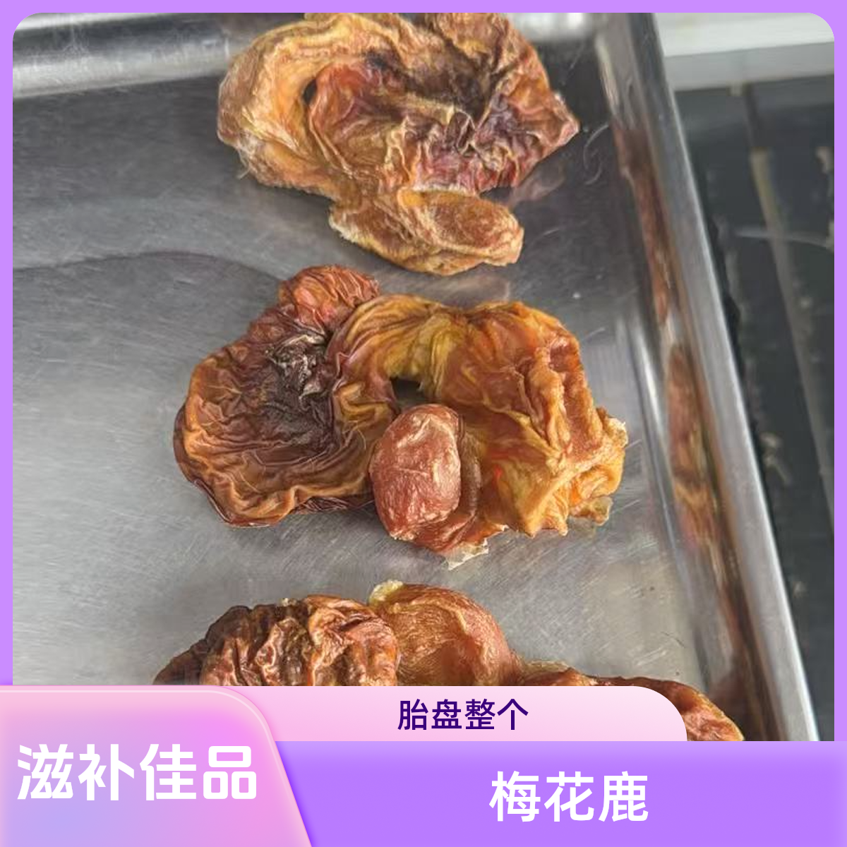 东北梅花鹿胎盘，鹿胎，产地直发