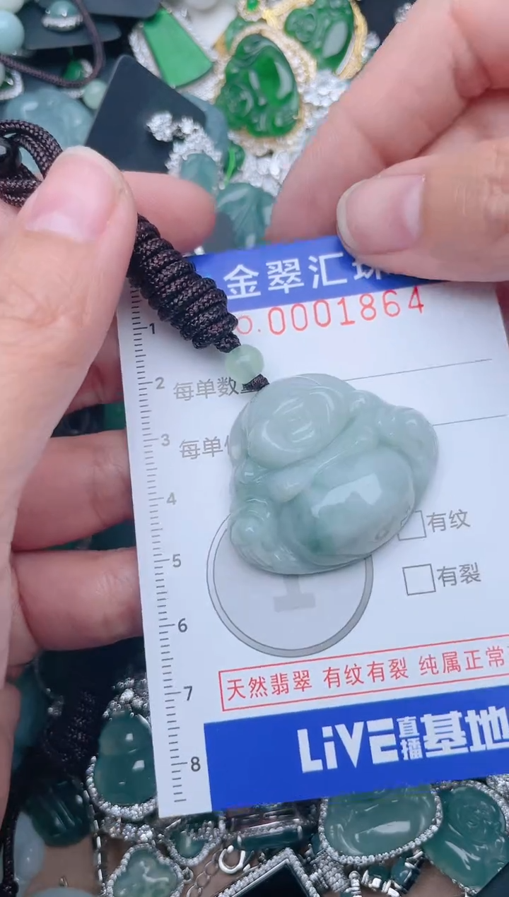 【闪购商品】翡翠颈饰未镶嵌1864....1