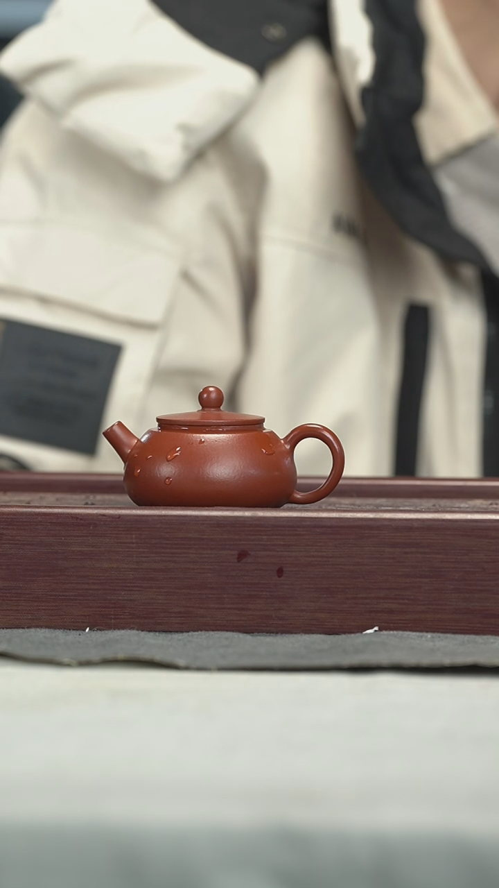 【闪购商品】紫砂茶壶紫砂壶紫砂壶110CC