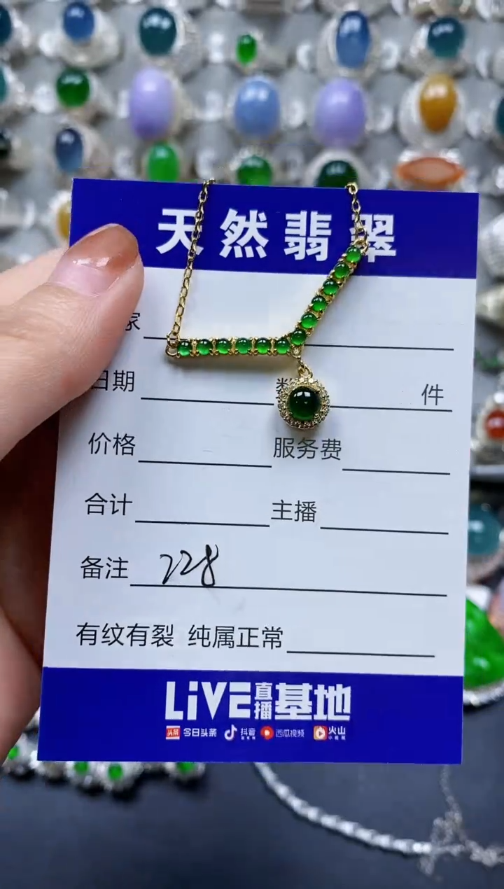 【闪购商品】翡翠颈饰银S925镶嵌0228