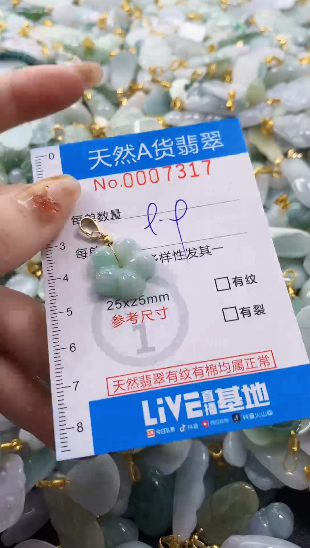 颈饰未镶嵌翡翠净货挂件-7317