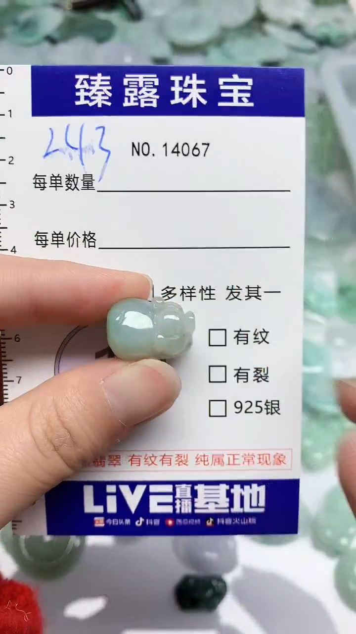 【闪购商品】翡翠颈饰未镶嵌臻露珠宝243
