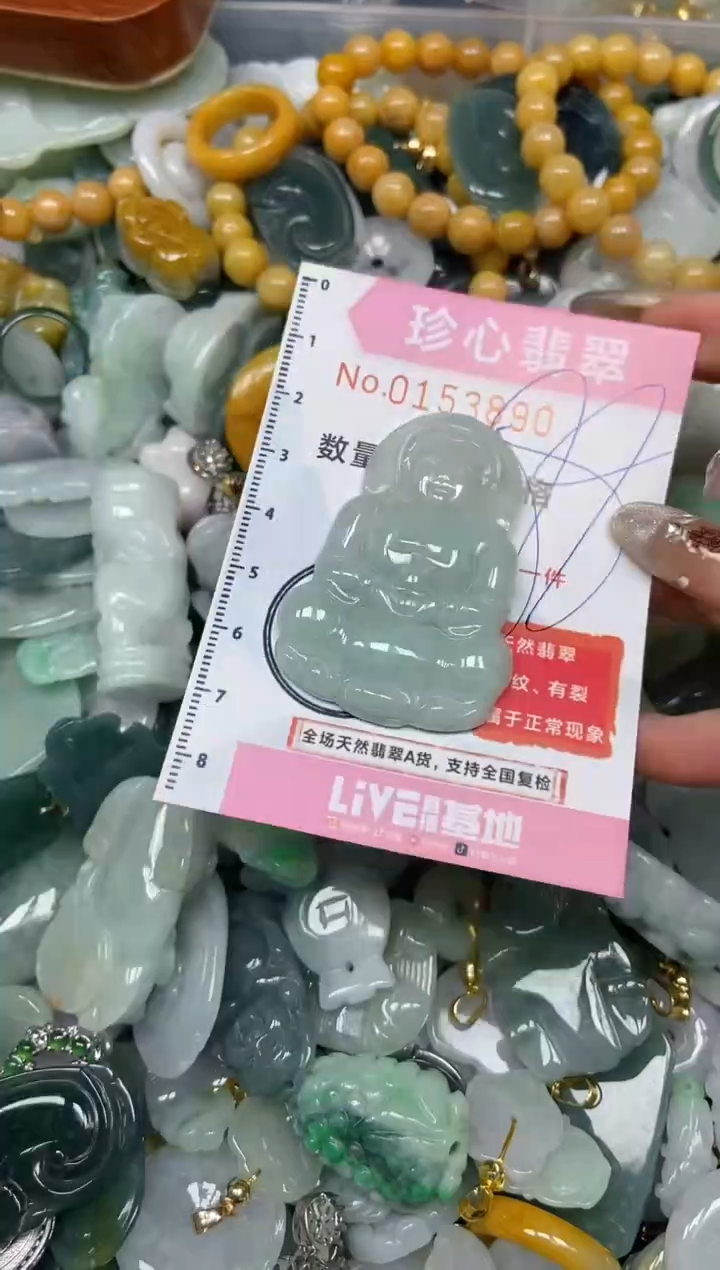 【闪购商品】翡翠颈饰未镶嵌闪购0153890