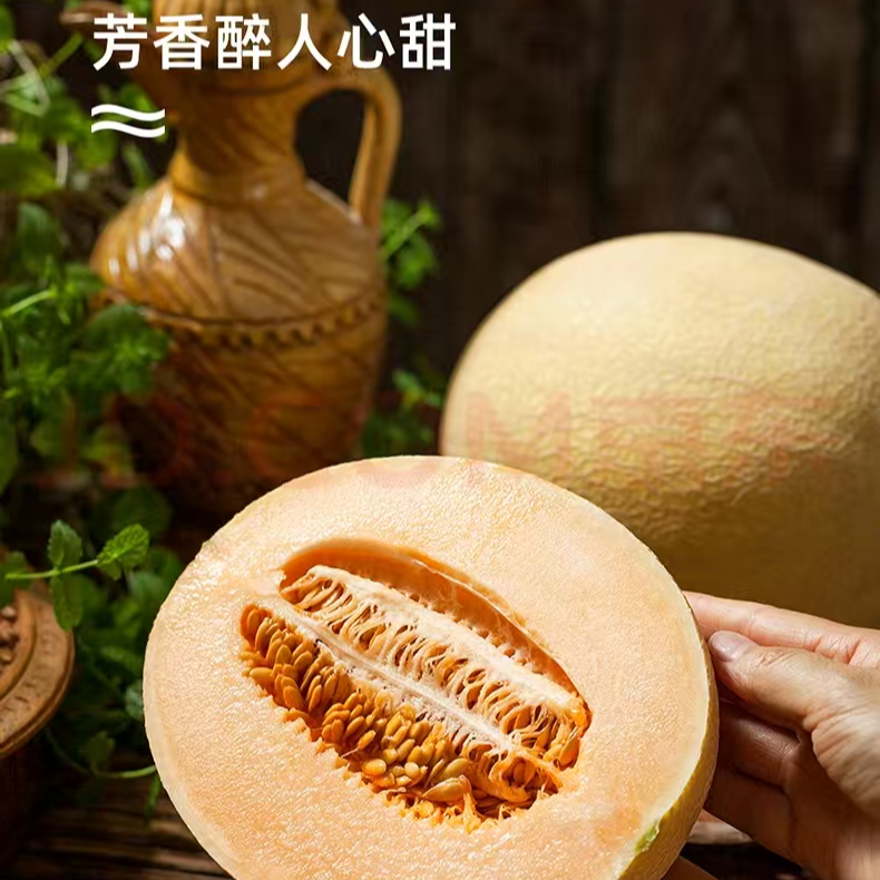 新疆金色年华蜜瓜净重7-8斤脆甜多汁皮薄肉厚