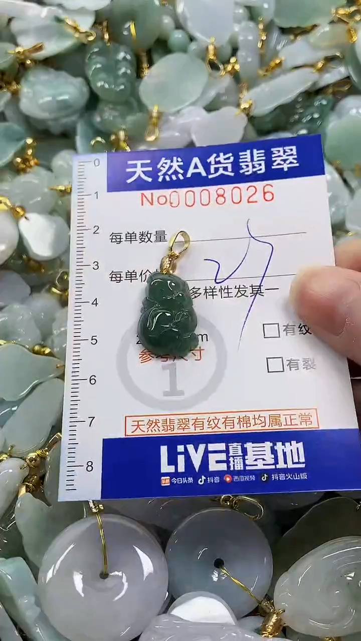 颈饰未镶嵌翡翠纯天然a货翡翠