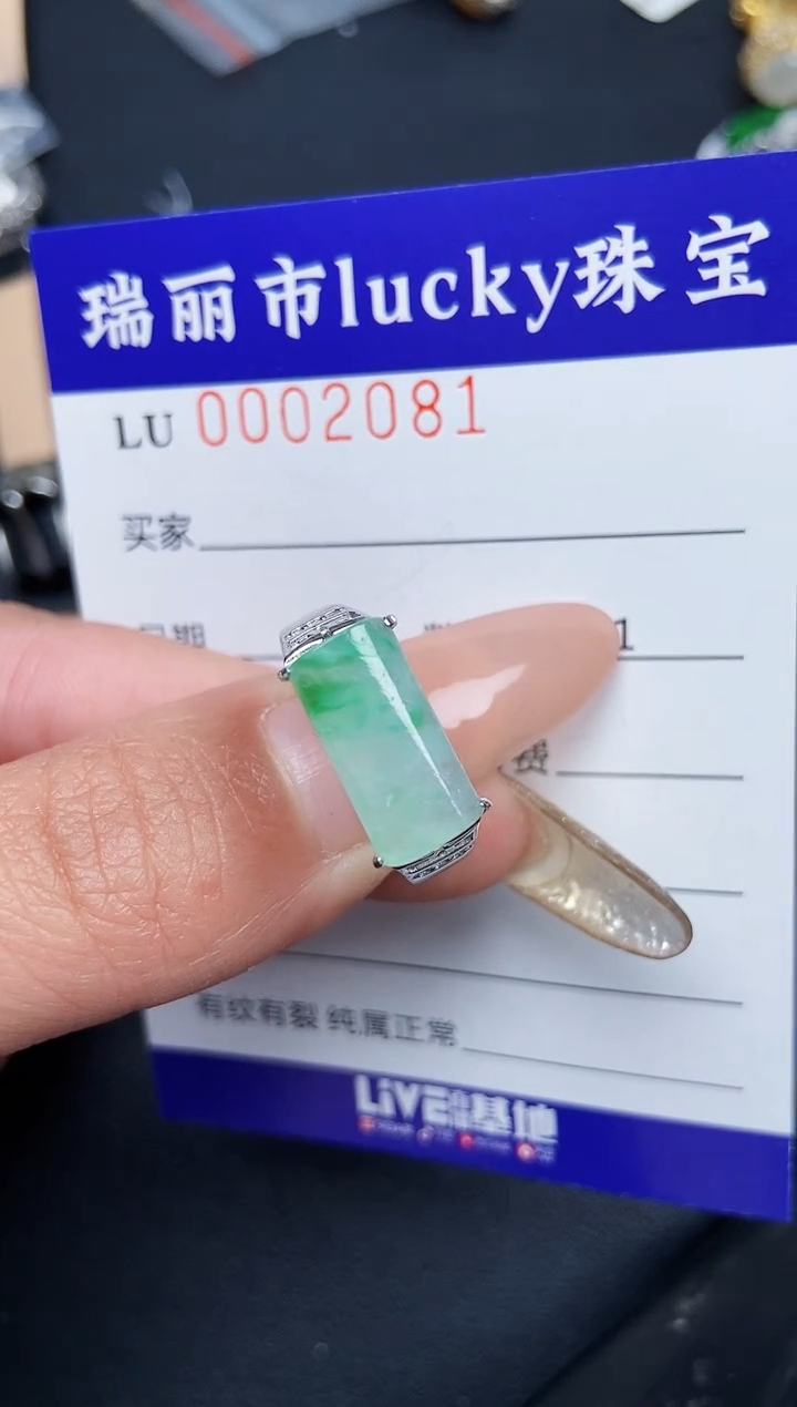 【闪购商品】翡翠颈饰银S925镶嵌2081