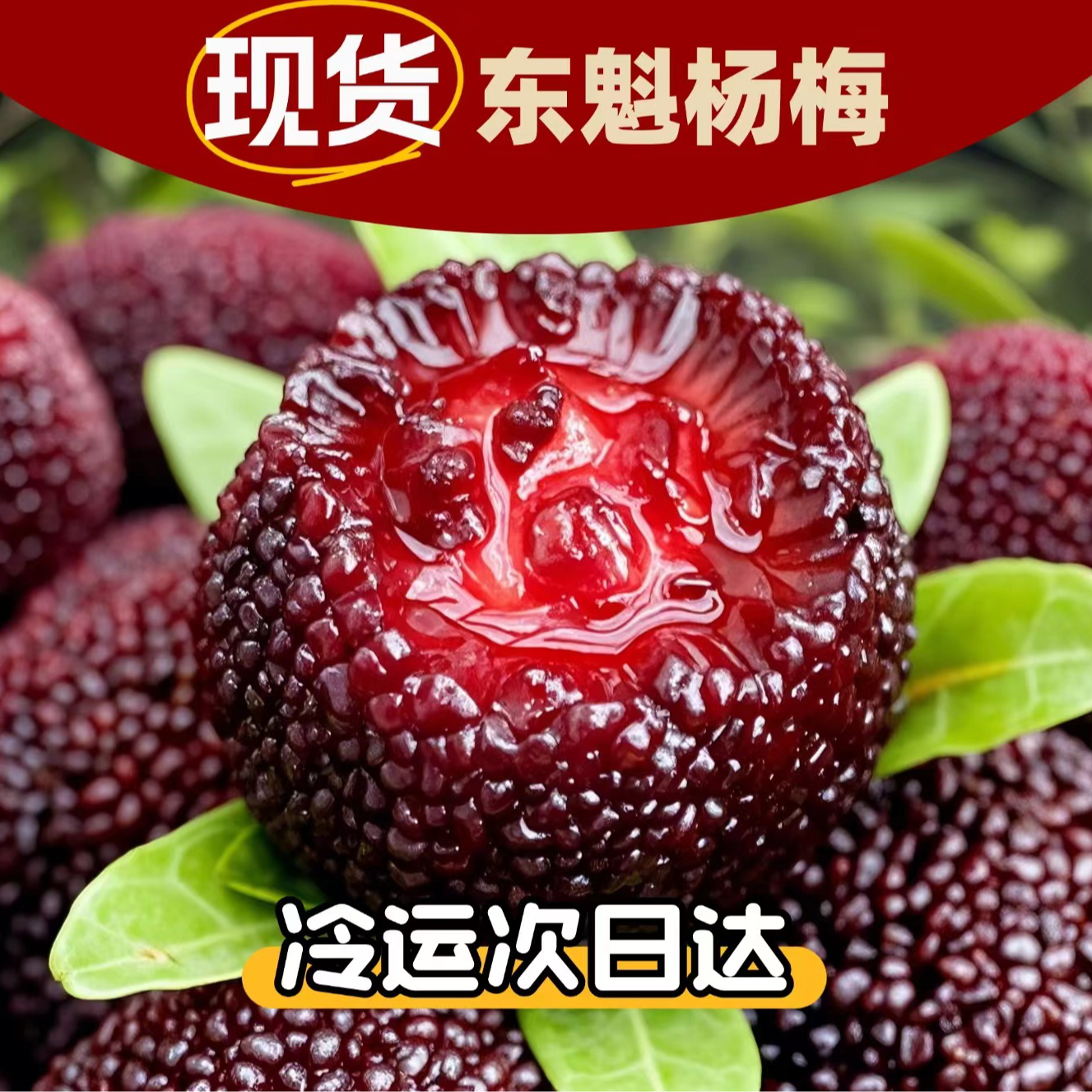 【次日达冷链】福建东魁杨梅新鲜水果现摘现发整箱6斤福建省福建省福建省