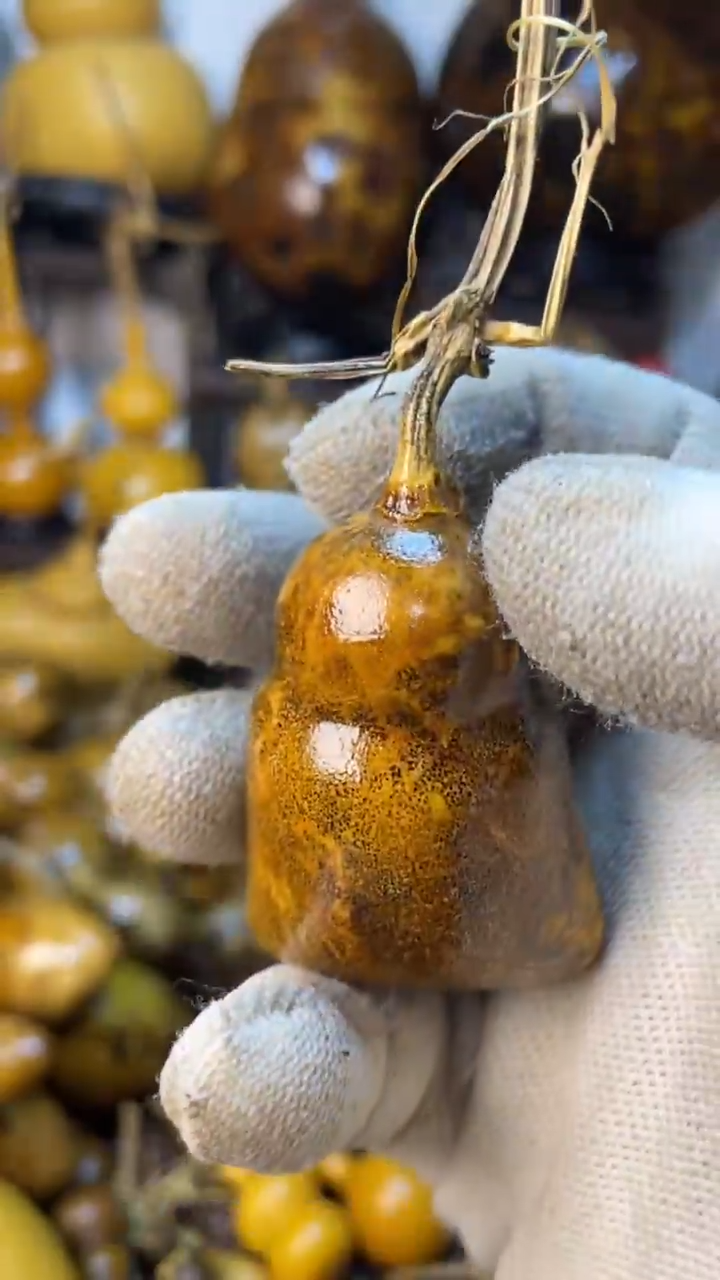 【闪购商品】葫芦葫芦葫芦葫芦