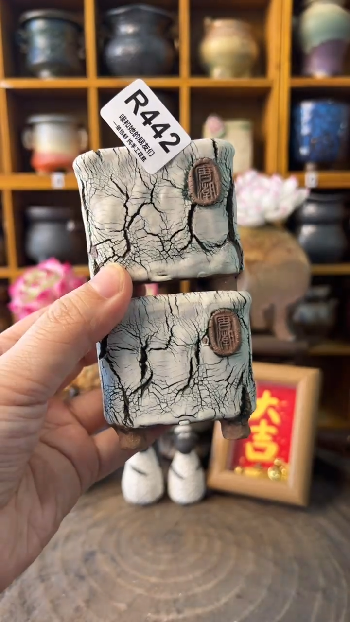 442 内口5.5【多肉花盆多肉盆】