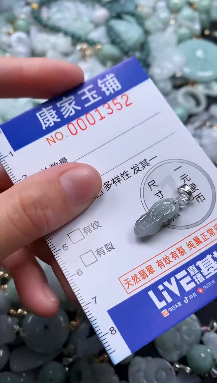 颈饰未镶嵌翡翠1352