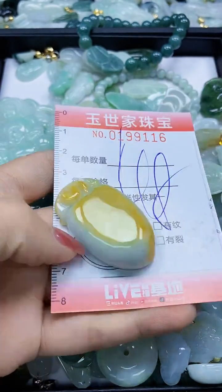 【闪购商品】翡翠颈饰未镶嵌闪购0199116