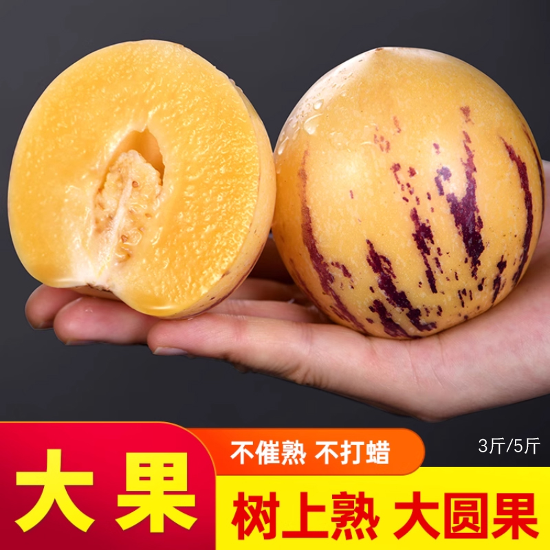 正宗人参果树熟新鲜皮薄大圆果黄肉清甜多汁人生果水果1斤3斤5斤