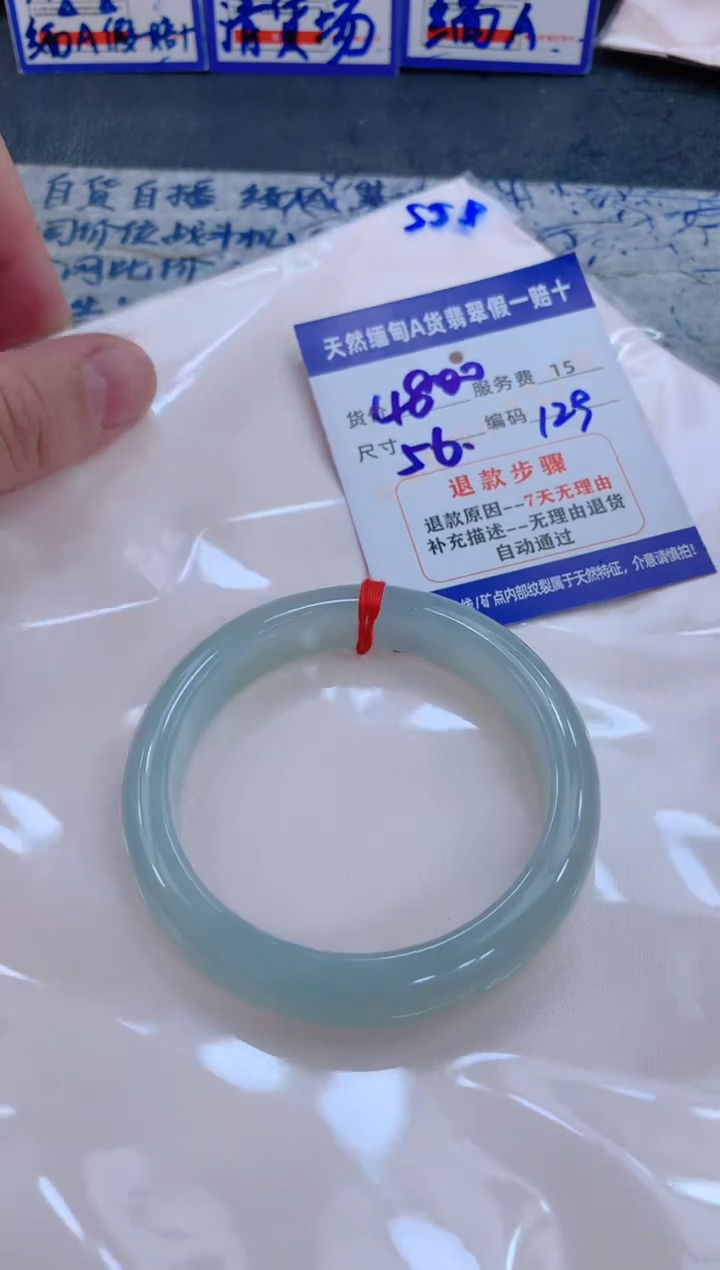 未镶嵌手镯翡翠序*海1