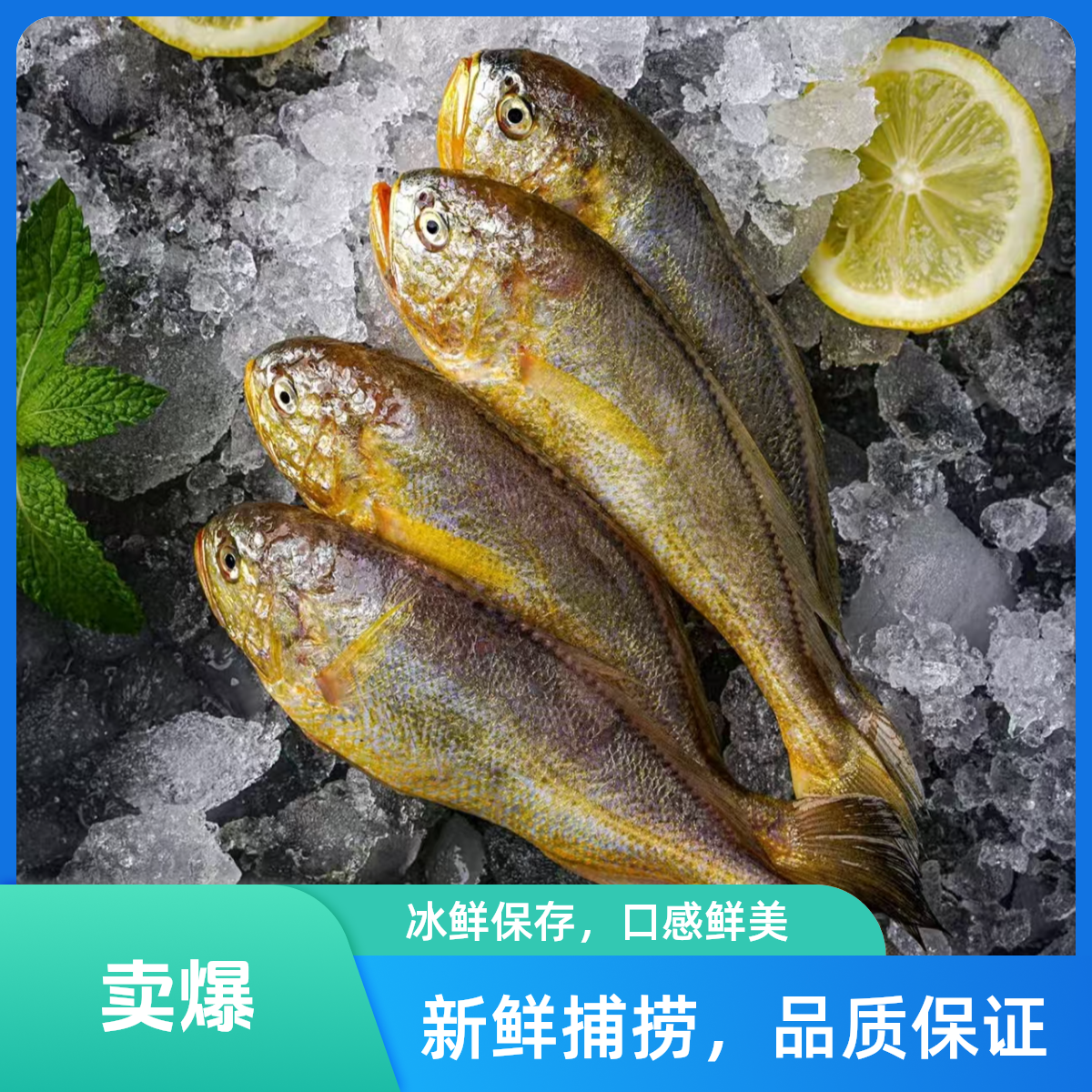 小黄鱼约重200g一条  