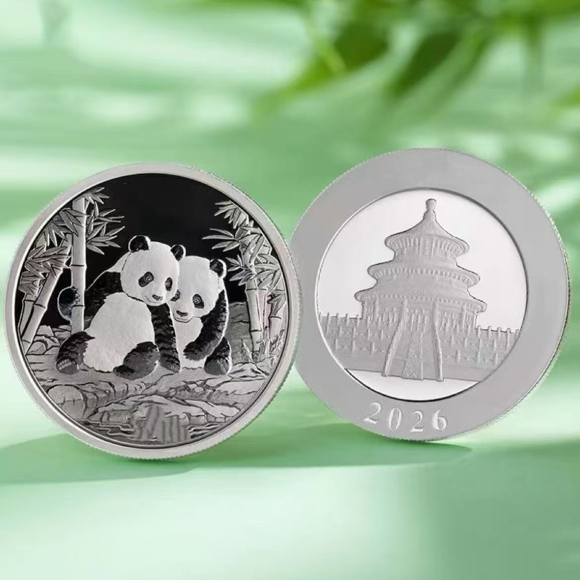 2026年30克熊猫银币单枚
