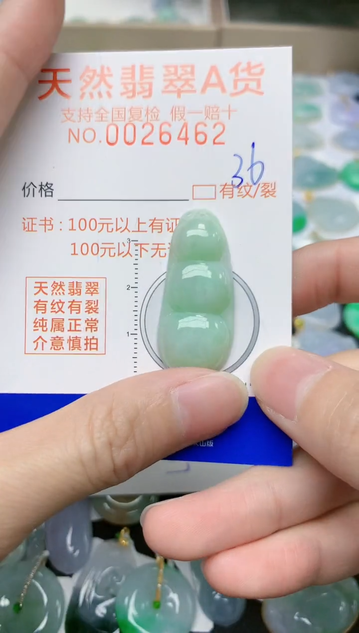 【闪购商品】翡翠颈饰未镶嵌36天然翡翠A货 