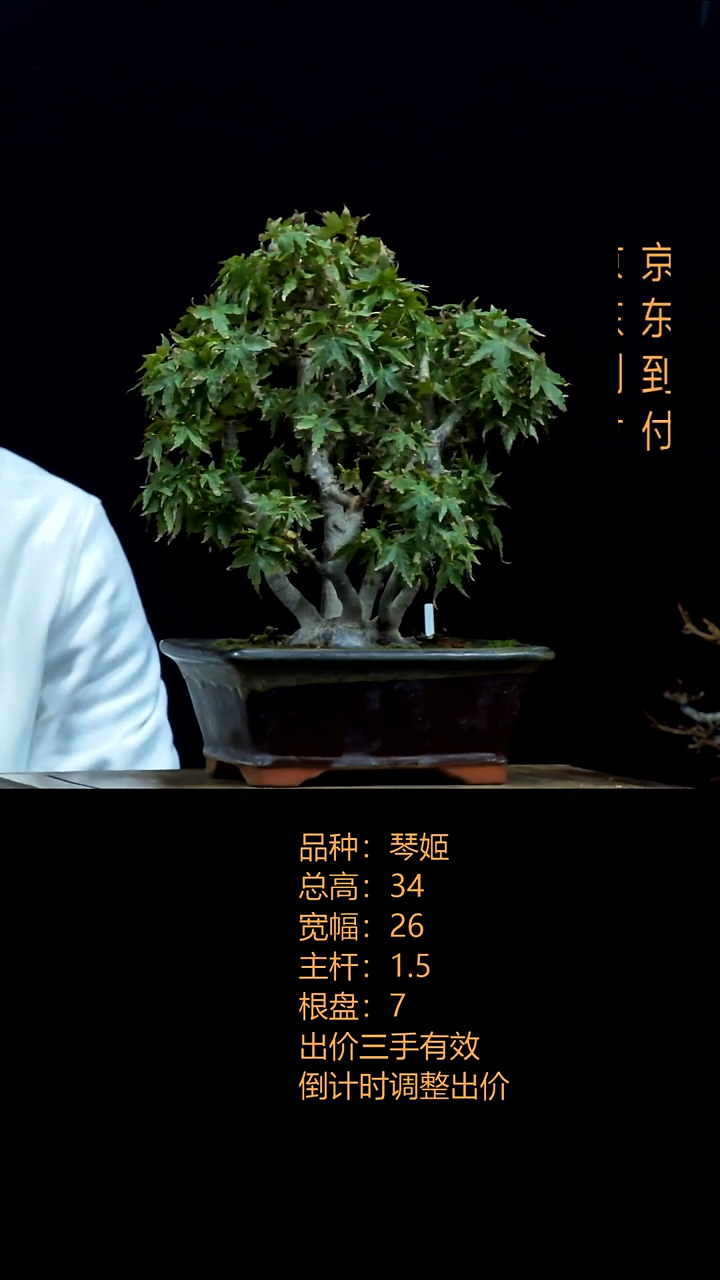 无花朵盆***社0000000