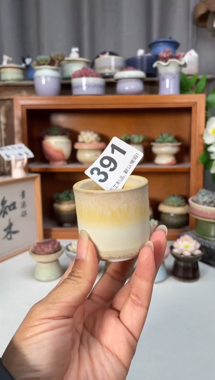 瓷片391知木小芳花盆