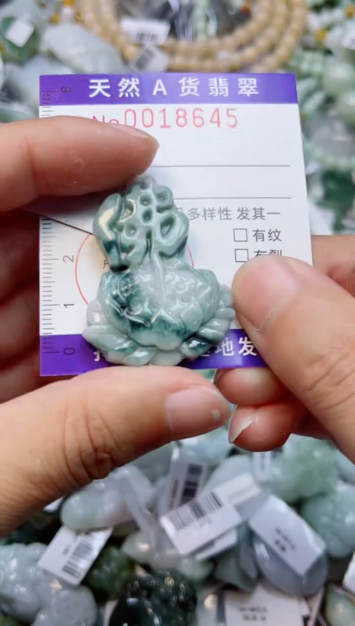 【闪购商品】翡翠颈饰未镶嵌00018645