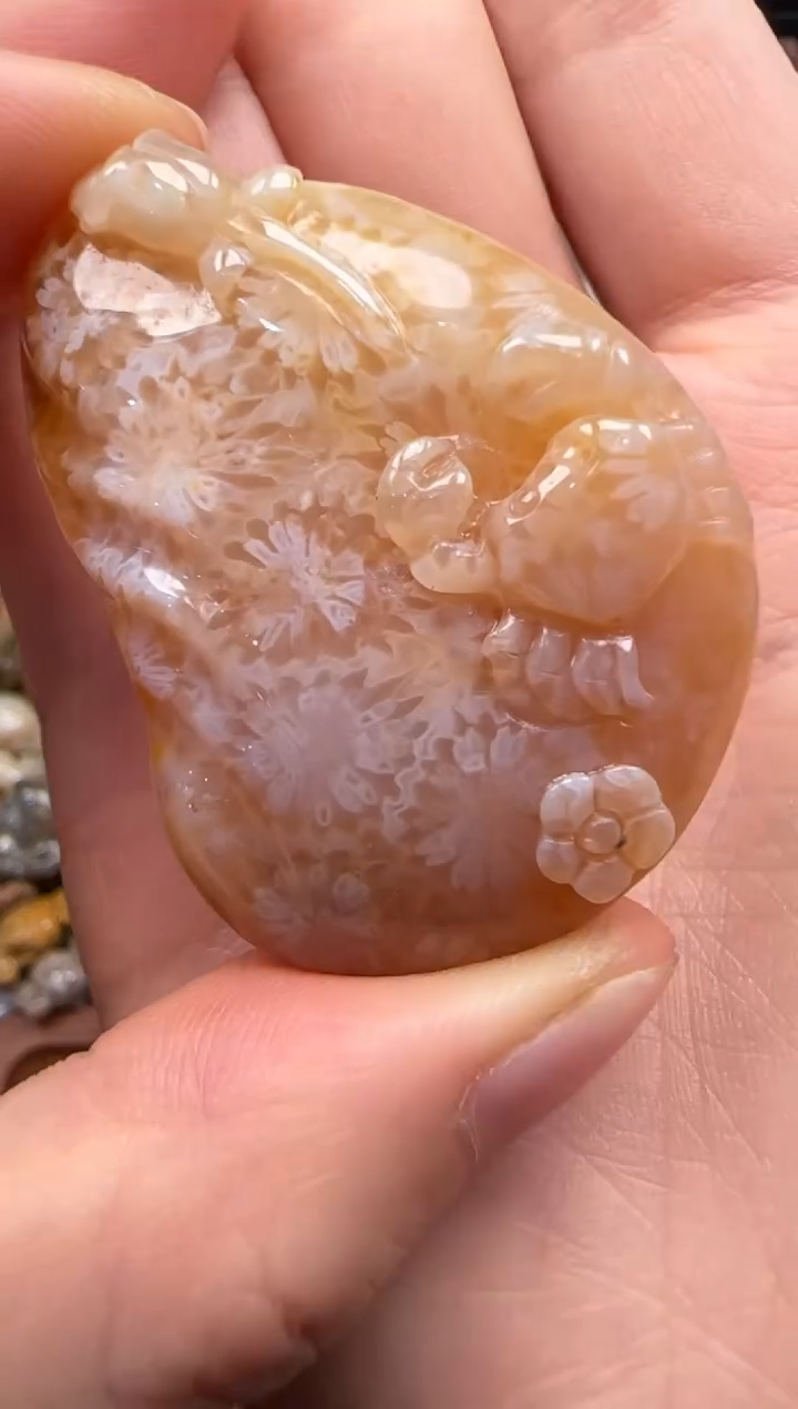 【闪购商品】硅化珊瑚（珊瑚玉）颈饰未镶嵌012