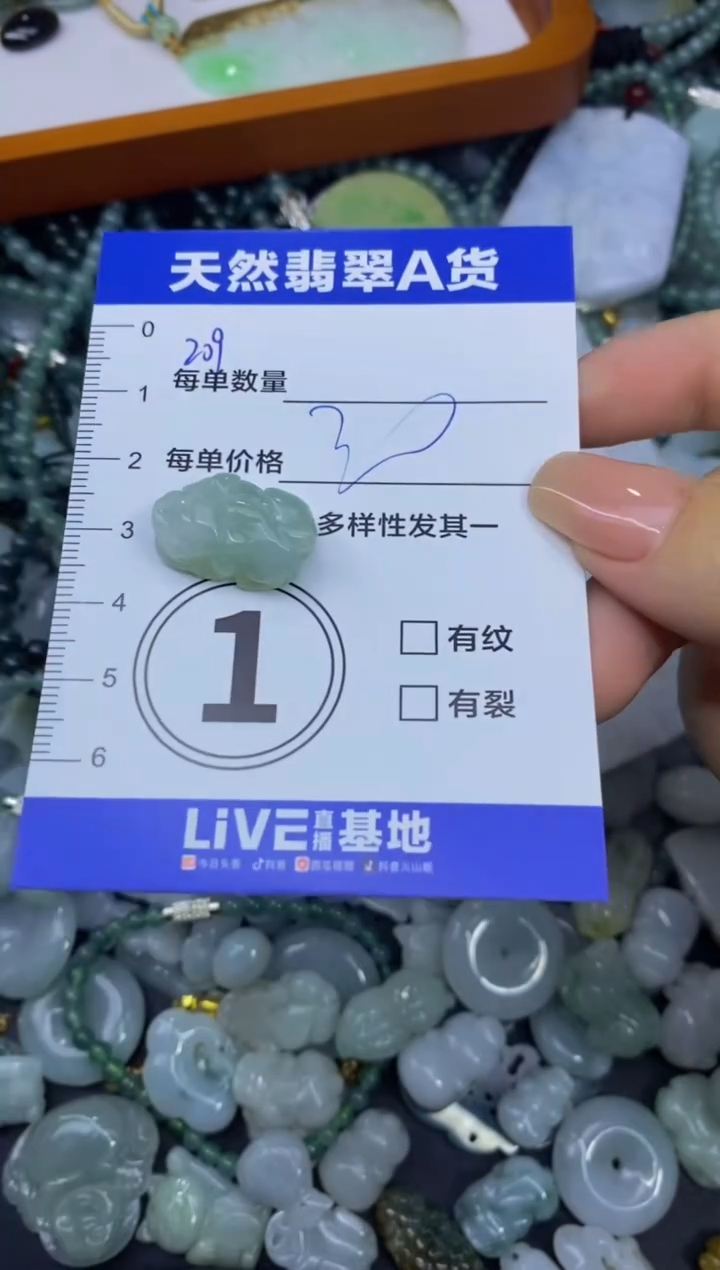 颈饰未镶嵌翡翠天然翡翠A货批量多样性发一件