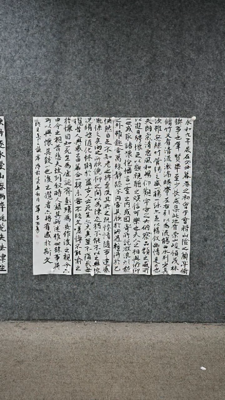 书法书法ZY老师书法作品