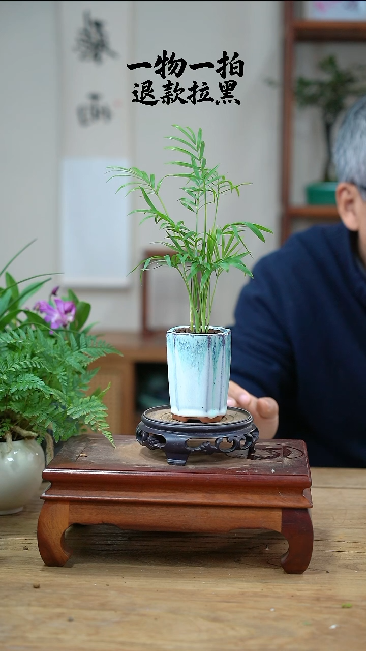 完全开放✨****✨397椰子