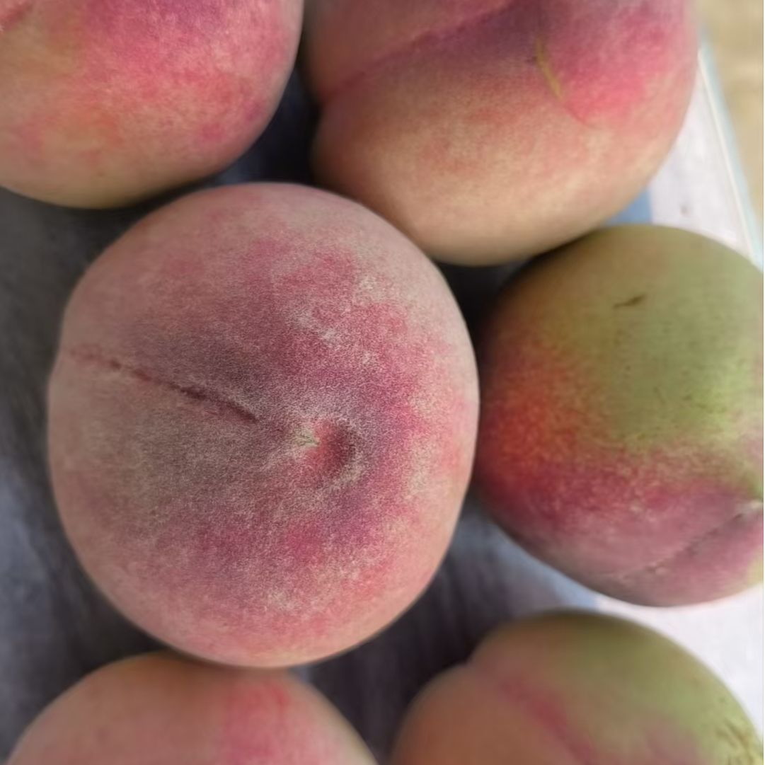 （罗河）突围毛 桃庐江