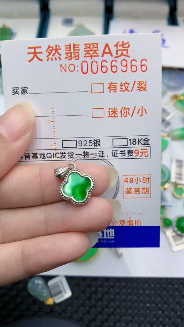 【闪购商品】翡翠颈饰银S925镶嵌            8