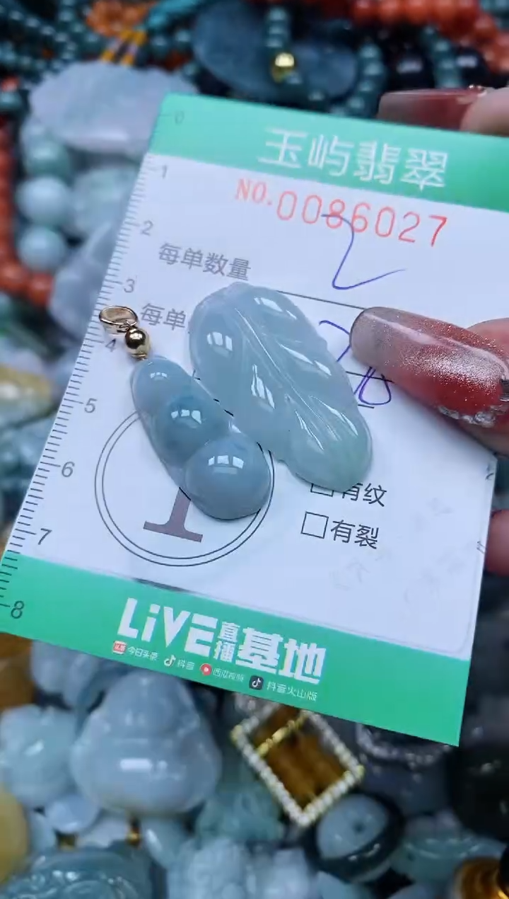 【闪购商品】翡翠颈饰未镶嵌闪购0086027