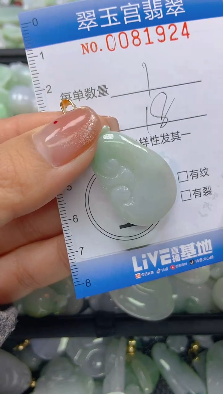 【闪购商品】翡翠颈饰未镶嵌闪购0081924
