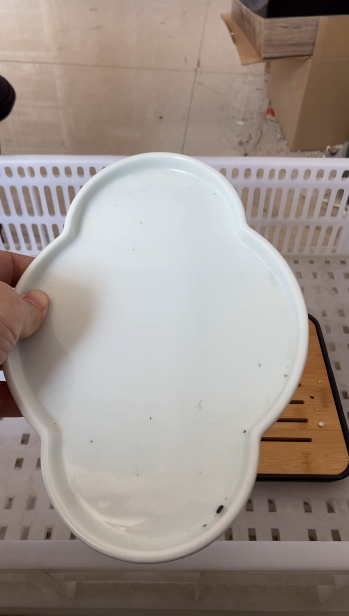 杯无运费险有瑕疵的摄影的产品有使用过的痕迹有点脏介意勿拍