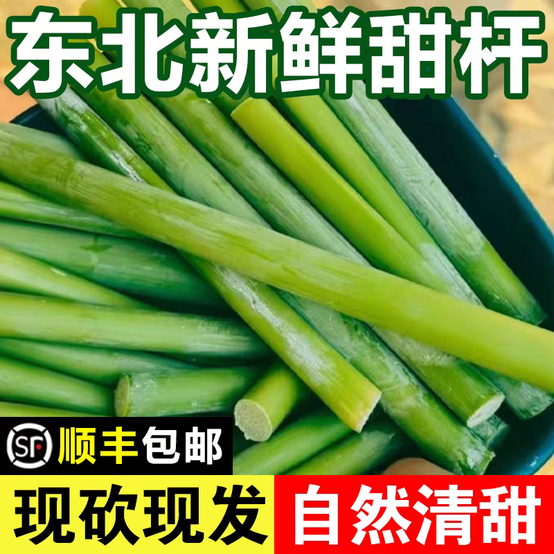 东北新鲜甜杆甜芦粟小甘蔗清甜多汁童年味道顺丰包邮