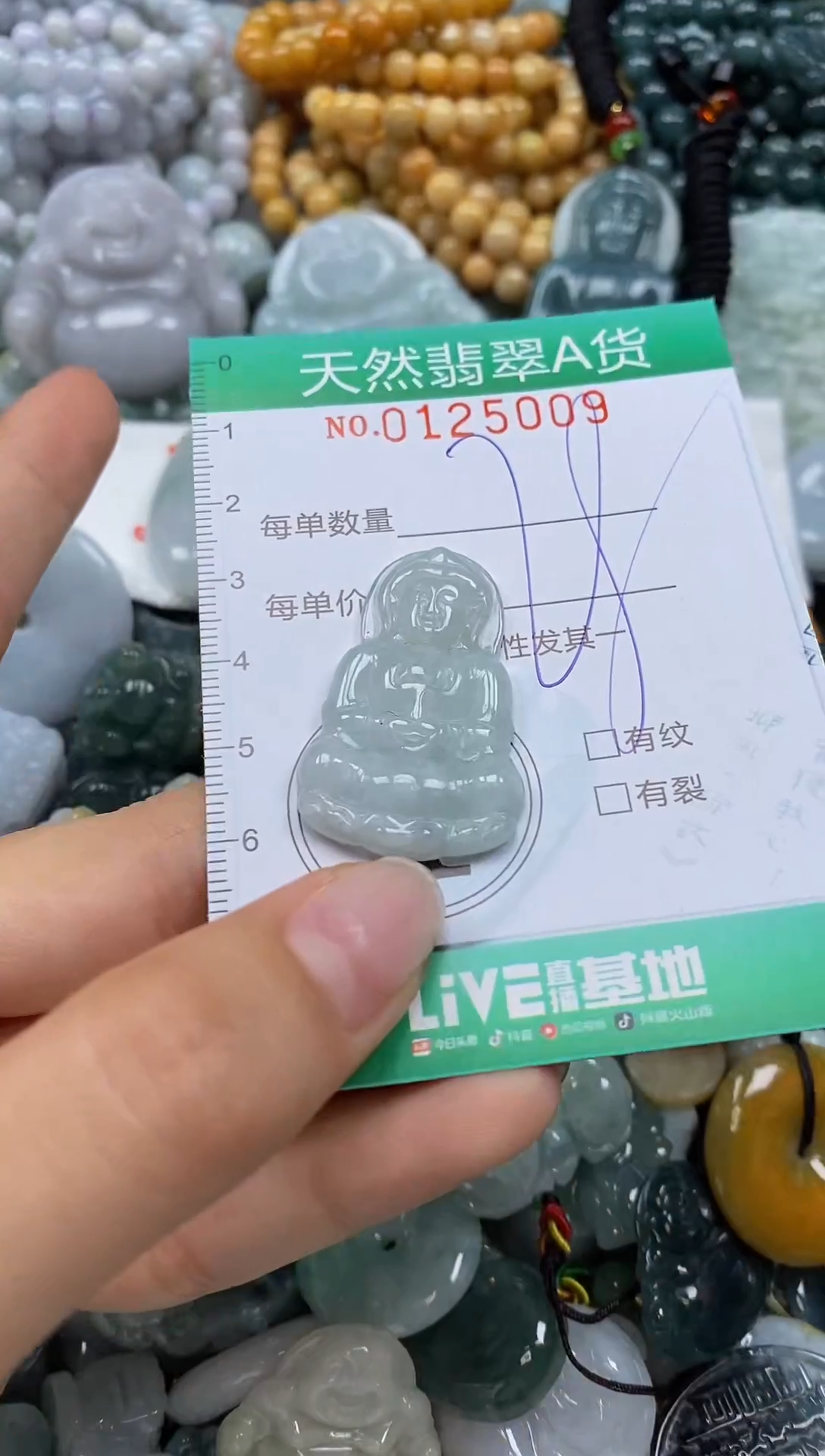 翡翠未镶嵌颈饰闪购01205009