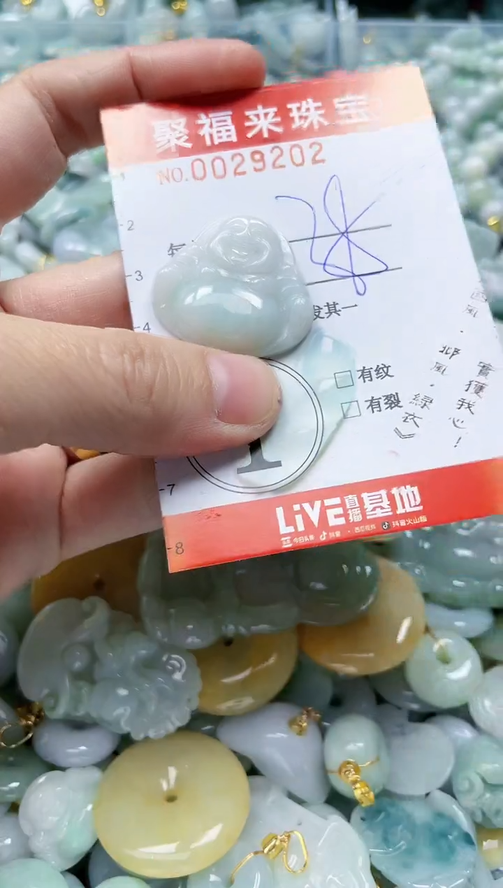 【闪购商品】翡翠颈饰未镶嵌闪购0029202