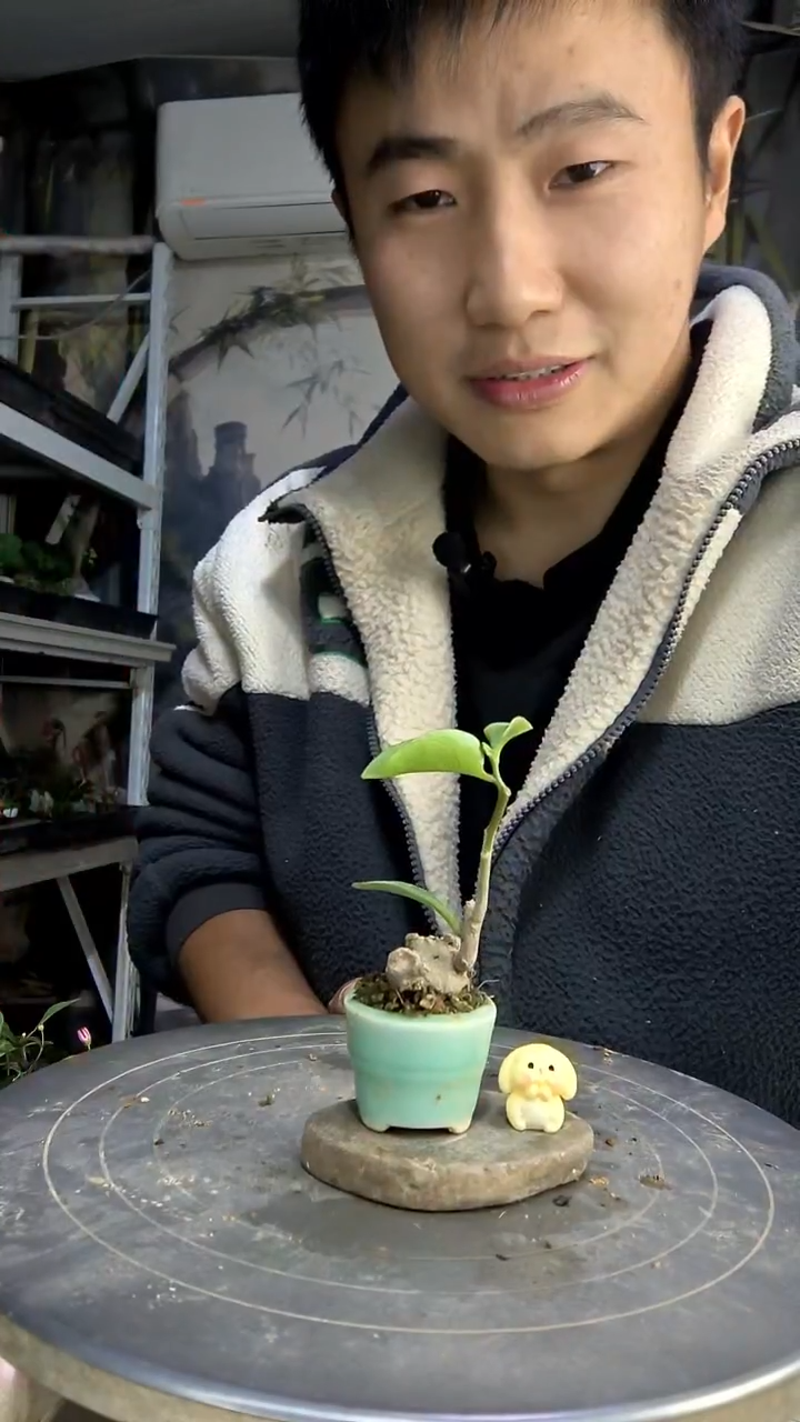 小*中青园艺一物一拍132