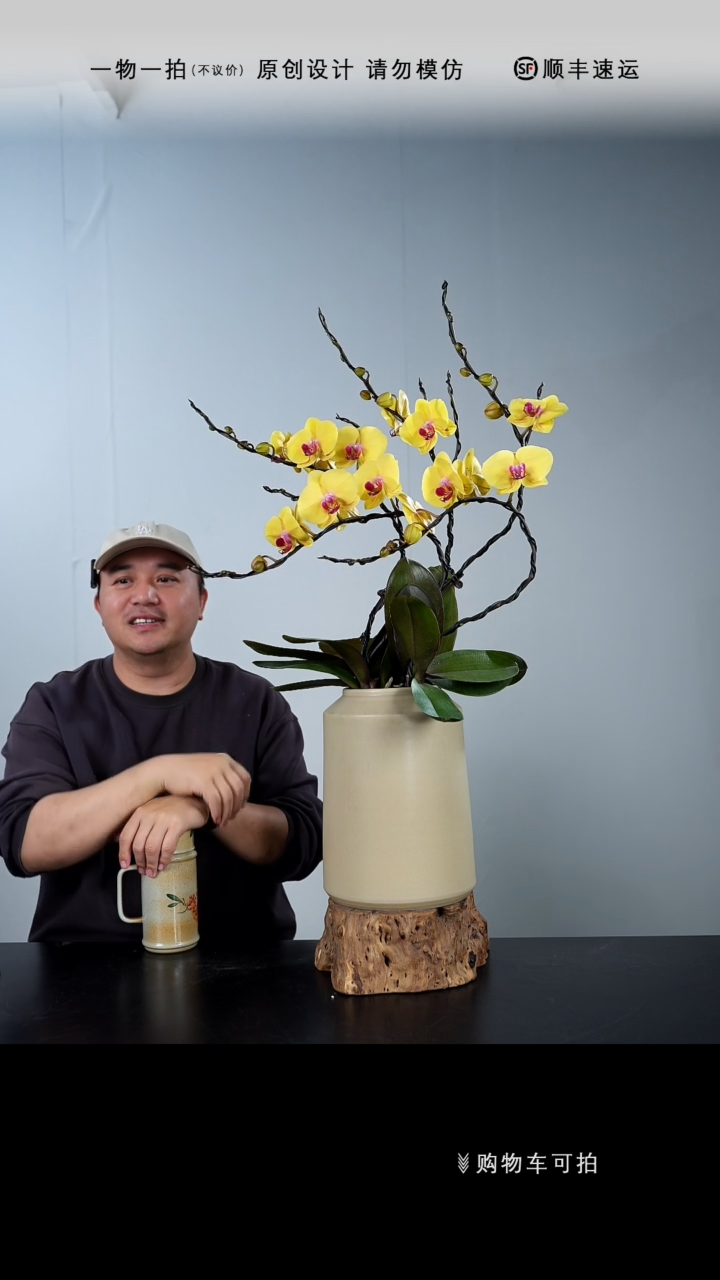 【闪购商品】059号链接【一物一拍】艺术盆景