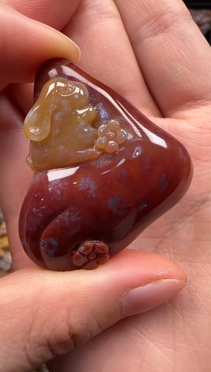 【闪购商品】硅化珊瑚（珊瑚玉）颈饰未镶嵌676