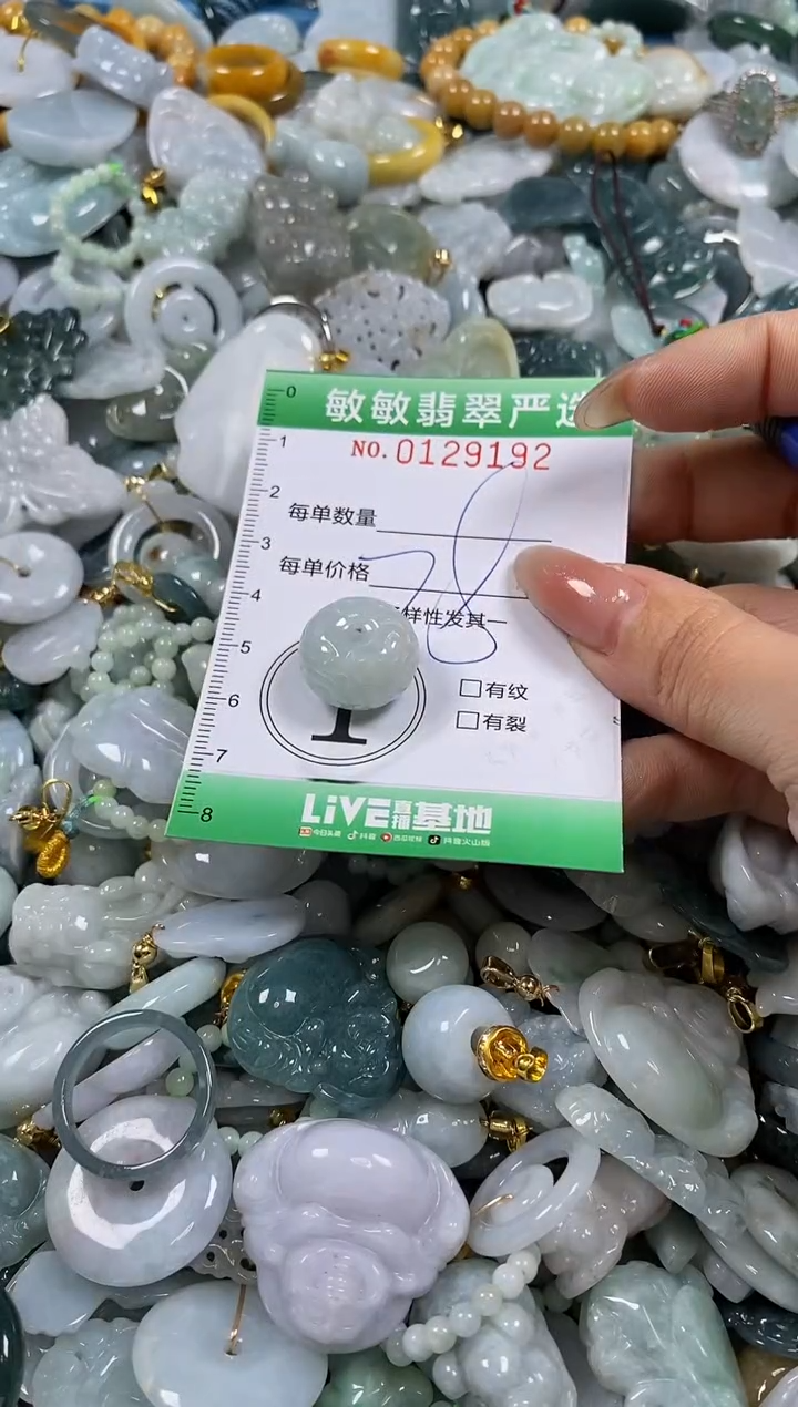 【闪购商品】翡翠颈饰未镶嵌闪购0129192