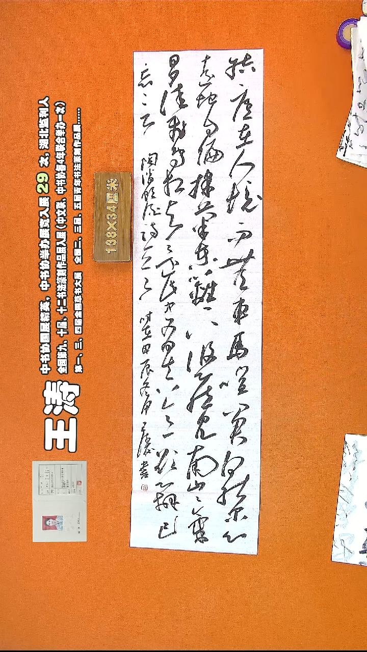 【闪购商品】书法187王涛书法作品