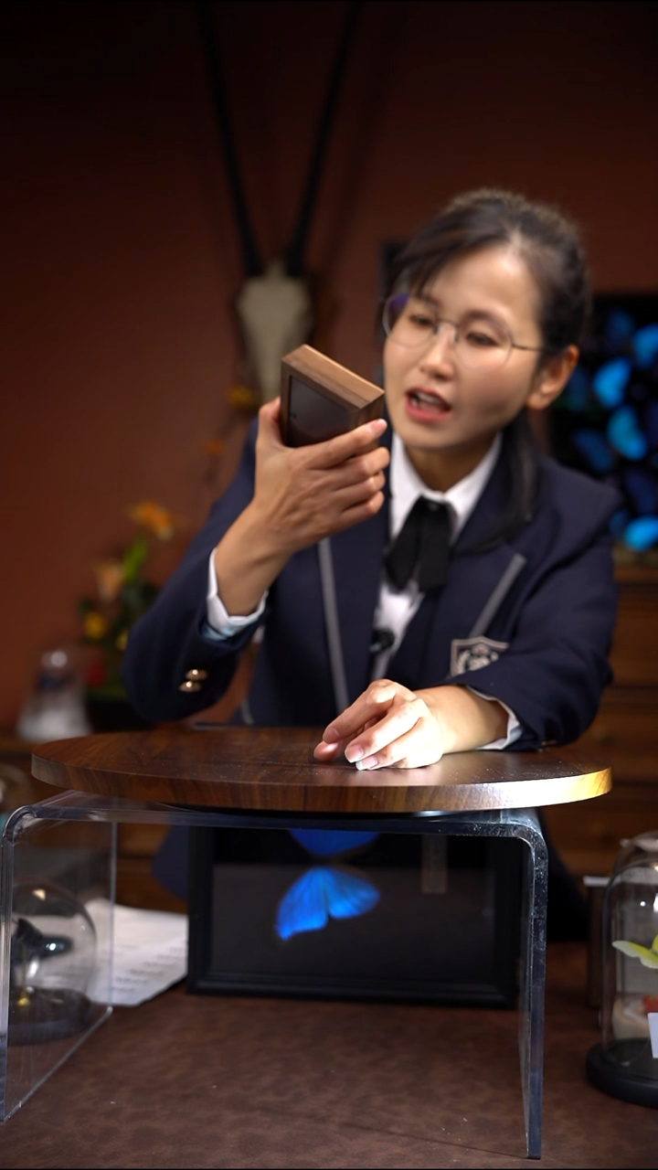 N760蛾饶灰蝶冰箱贴