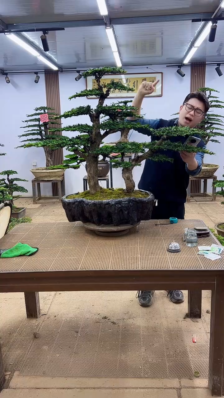 无花朵000000000000000