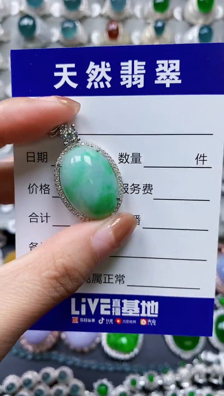 【闪购商品】翡翠颈饰银S925镶嵌0528
