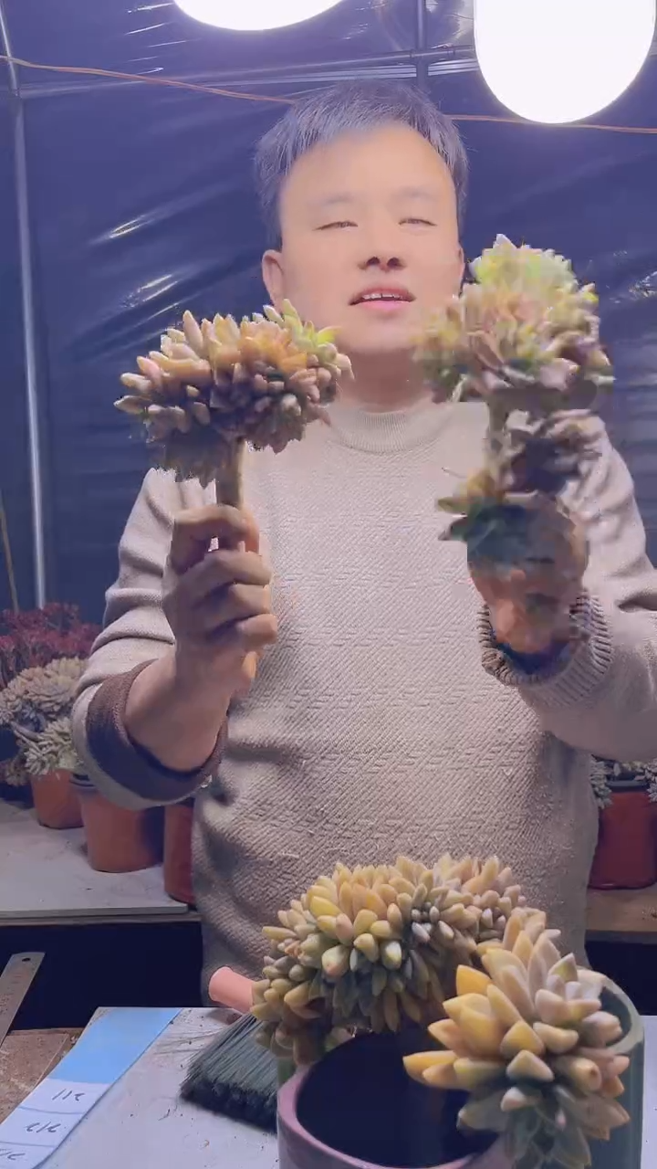 【闪购商品】缀化211