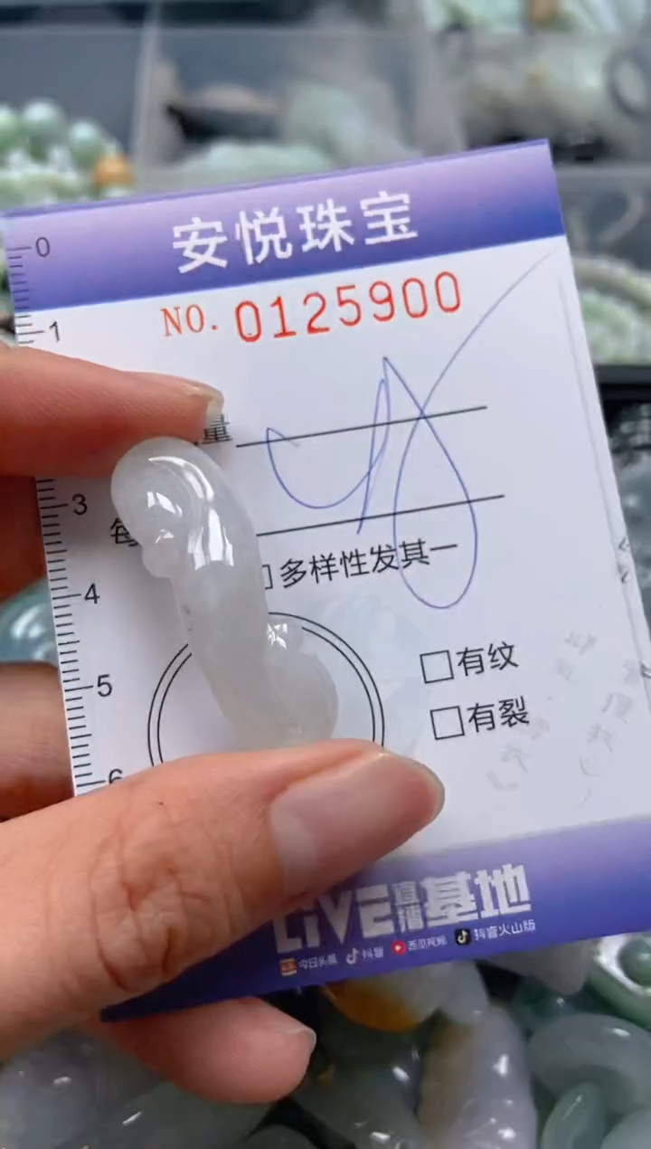 【闪购商品】翡翠颈饰未镶嵌闪购0125900