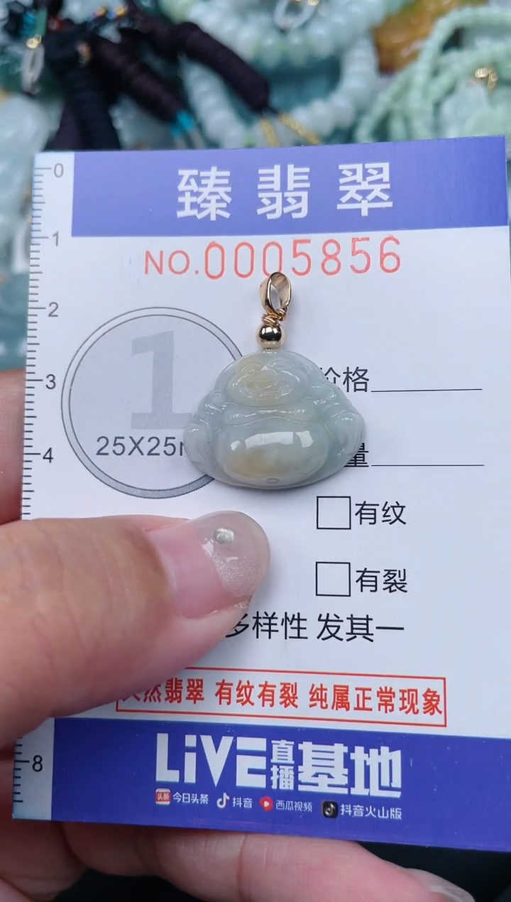 颈饰未镶嵌翡翠.0005856