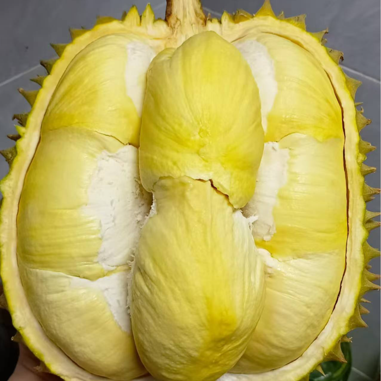 泰国树熟金枕鲜榴莲肉（核小）500g 东阳义乌同城榴莲金枕越南