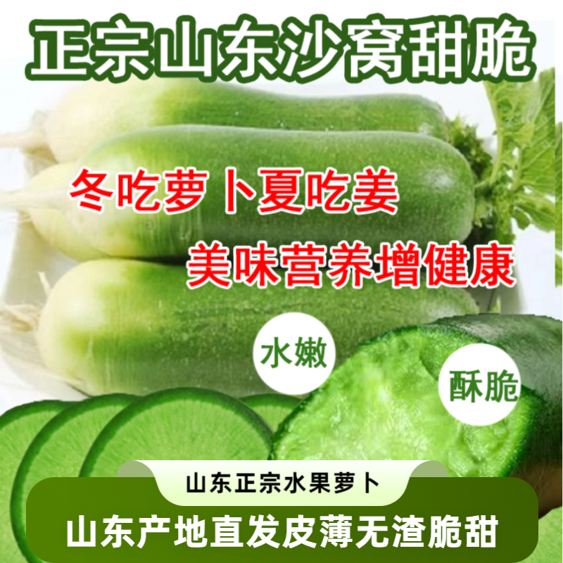 正宗山东沙窝甜脆 青皮水果萝卜 新鲜现挖脆爽口适合生吃微辣清脆