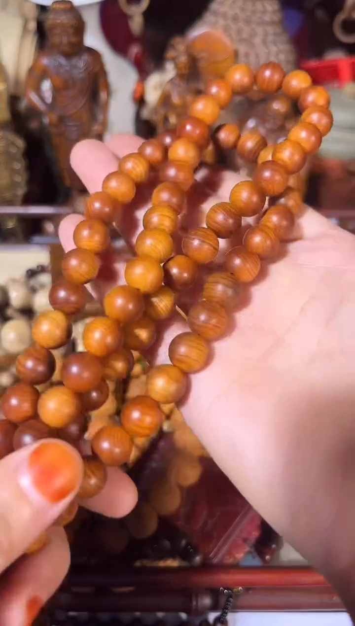 黄杨木11111111111111111