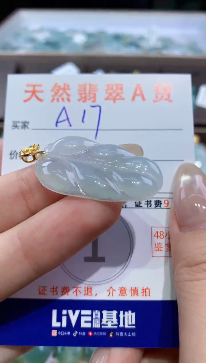 颈饰未镶嵌翡翠天然翡翠A货挂件